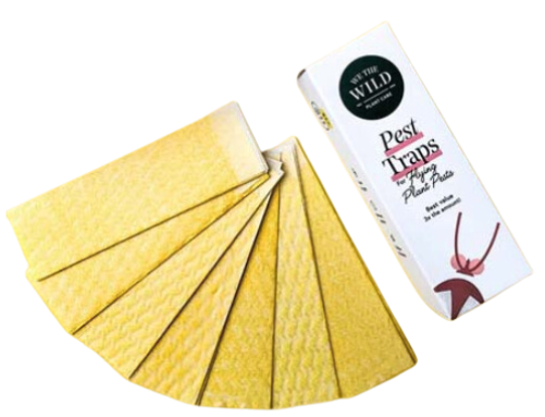 We The Wild Plant Care Compostable Sticky Pest Traps Refill 60x Pack