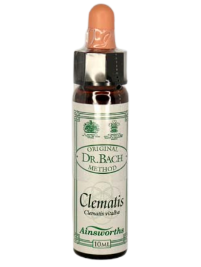 Ainsworths Original Dr. Bach Method Flower Essence Clematis 10ml