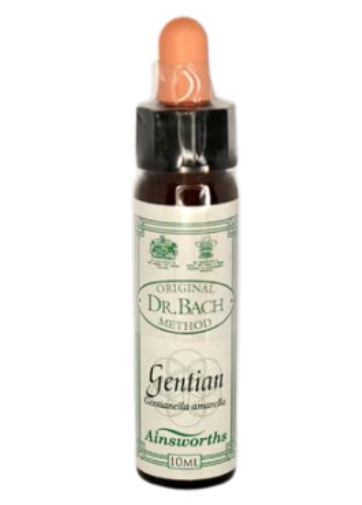 Ainsworths Original Dr. Bach Method Flower Essence Gentian 10ml