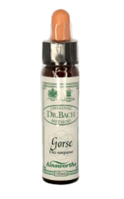 Ainsworths Original Dr. Bach Method Flower Essence Gorse 10ml
