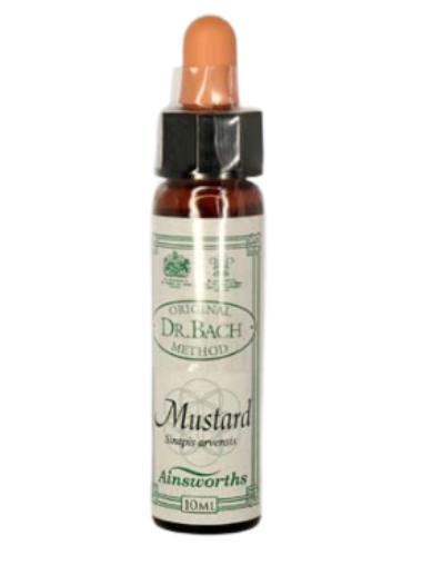 Ainsworths Original Dr. Bach Method Flower Essence Mustard 10ml