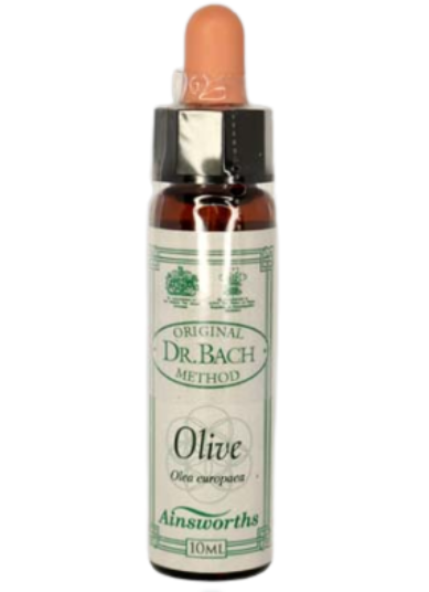 Ainsworths Original Dr. Bach Method Flower Essence Olive 10ml