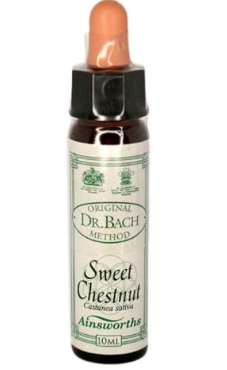 Ainsworths Original Dr. Bach Method Flower Essence Sweet Chestnut 10ml