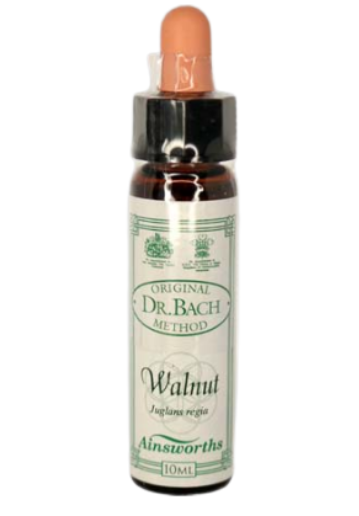 Ainsworths Original Dr. Bach Method Flower Essence Walnut 10ml