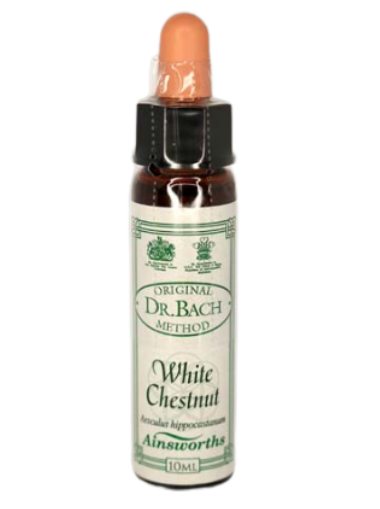 Ainsworths Original Dr. Bach Method Flower Essence White Chestnut 10ml