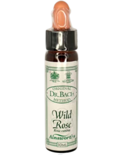 Ainsworths Original Dr. Bach Method Flower Essence Wild Rose 10ml