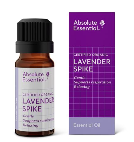 Absolute Essential Certified Organic Lavender Spike Essential Oil 10ml