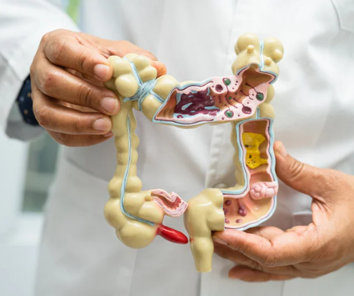 NutriPATH 4 Pillar Gut Profile [2208]