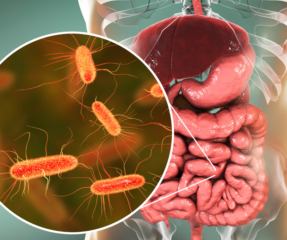NutriPATH Microbiomix Metagenomic Mapping [2212]
