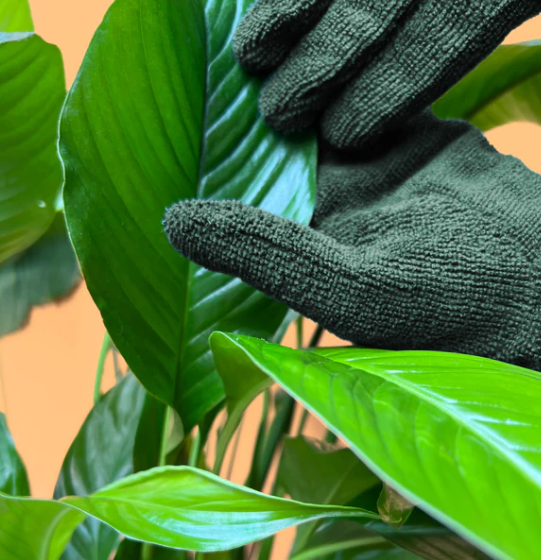 We The Wild Plant Care Leaf Cleaning Gloves - Green