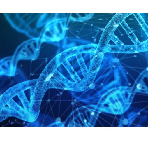 NutriPATH myDNA Comprehensive Health Report [8009]