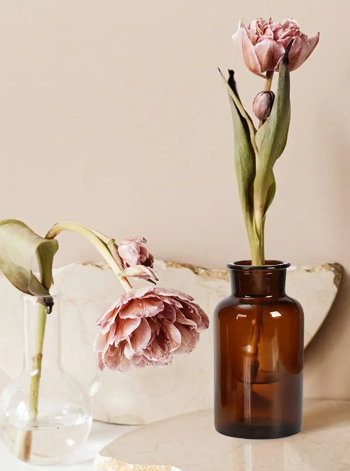 Samādhi Wellness Herbal Medicine Regular